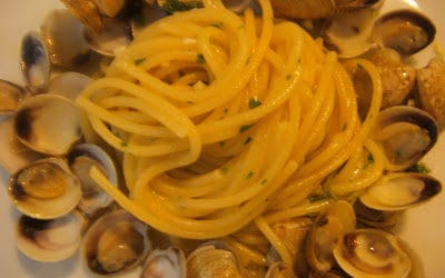 FRESH AND DRY PASTA: WHICH SAUCE IS THE BEST FOR EACH TYPE?