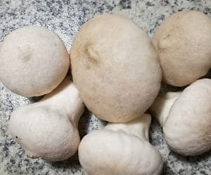 LA FRITTATA DI PUZZOLE