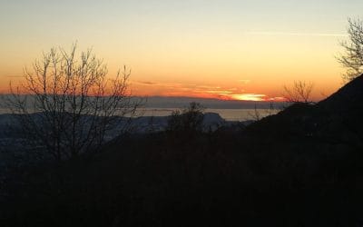 MARINA E LA SUA CARNE IN SCATOLA