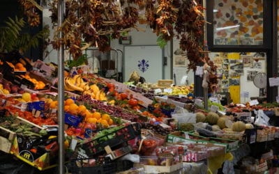 IMPROVISATION AND PROFESSIONALISM