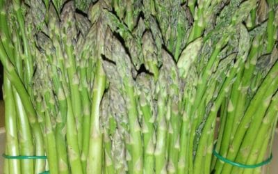 FROM THE FIELD TO THE JAR