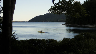 CHERRY, STONE, CLAMS, MUSSELS