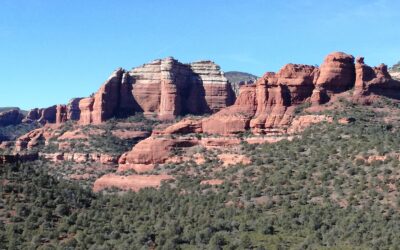 CRYPTOBIOTIC: HOW MANY THINGS WE DON’T KNOW….…