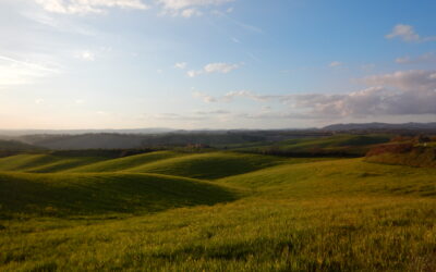 THE HILLS OF THE RICOTTA