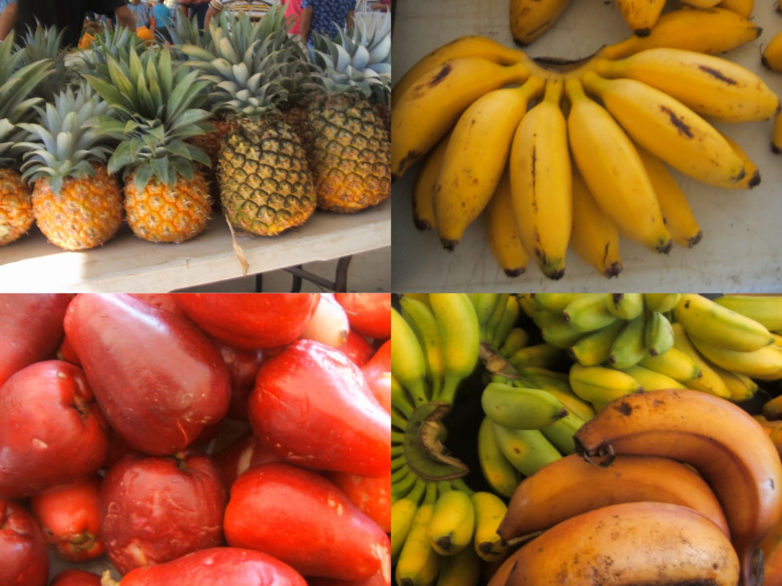 WhatsApp Image 2020-11-06 at 13.52.50