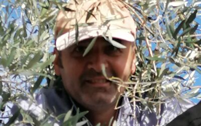 PRIZE FOR EQUILIBRIUM