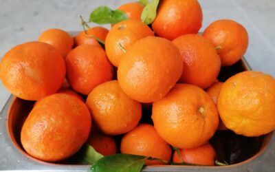 BITTER ORANGE MARMELADE