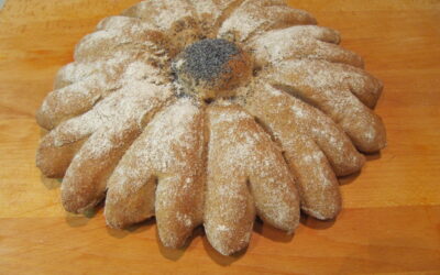 THE ART & TECHNIQUE OF BREAD IN ITALY