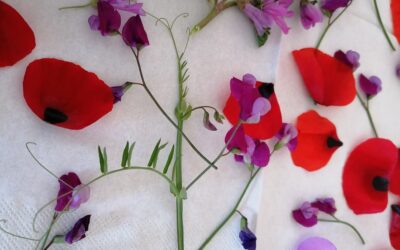 CRYSTALLIZED FLOWERS