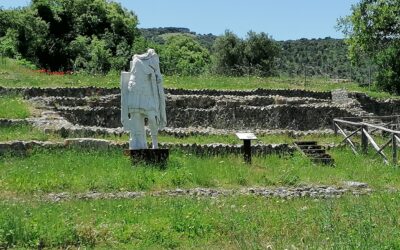 THE ARCHAEOLOGICAL SITE OF ROSELLE
