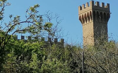 SEVENTH NEWSLETTER: WALKING IN FLORENCE