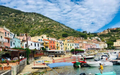 EIGHTH NEWSLETTER – FOOD IS EVOCATIVE