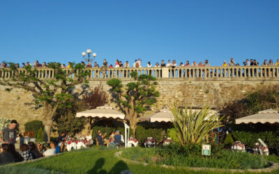 EMPTY AND LONELY – NINTH NEWSLETTER