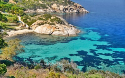 BORN ON AN ISLE -TENTH NEWSLETTER