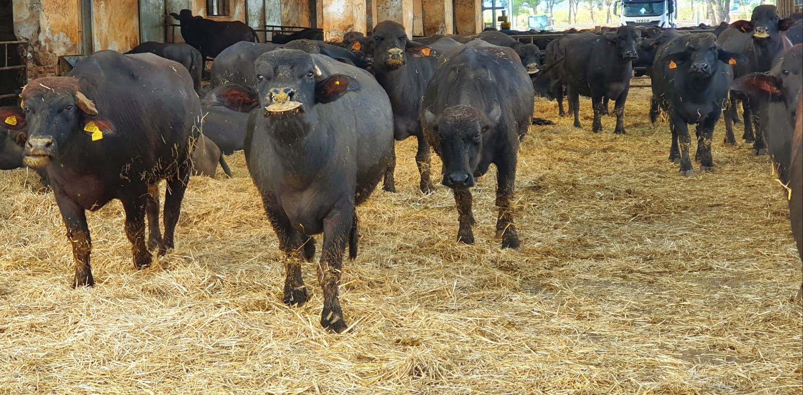 b3e2126d-52a0-46ba-b4d7-cca6de791f5f