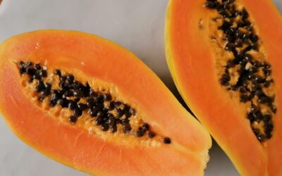 THE SEEDS OF PAPAYA