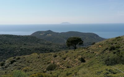 THE MILL OF THE VALLEY “DEL DOLCE”