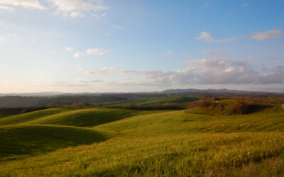 CLAY, GRANITE, EARTH
