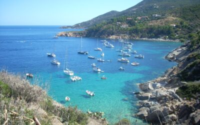 NO BALANCES ONLY PROJECTS