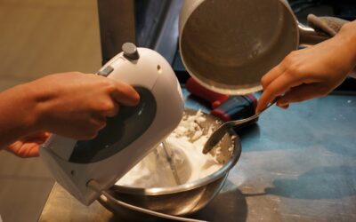 THE BEHAVIOR OF THE FOOD