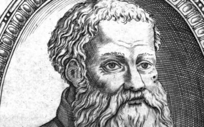 THE PROFESSIONAL COOK