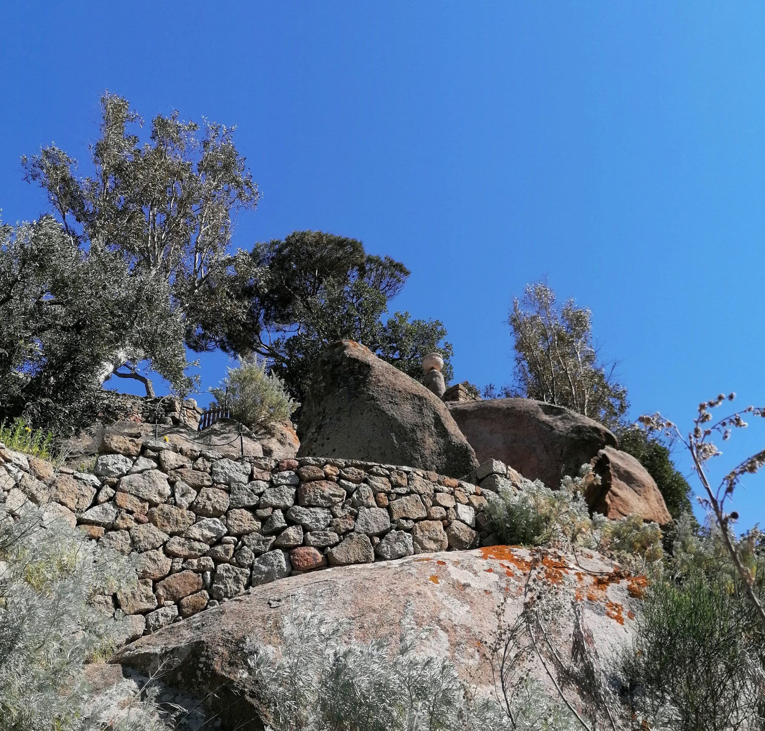 IMG_20230409_154012-min-ok